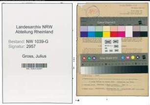 Entnazifizierung Julius Gross , geb. 09.11.1909 (Kontorist)