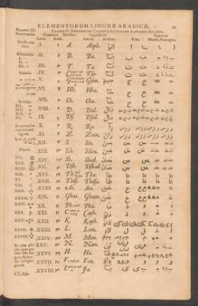 Elementorum Linguae Arabicae, ...