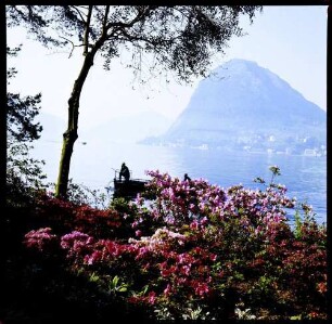 Lugano: Luganer See mit San Salvatore, Vordergrund Blumen, Stadtpark
