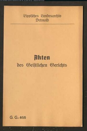 Anna Elisabeth Hancke auf der Steinegge (Amt Varenholz) gegen Wilhelm Stock zu Kalldorf, wegen einer Schwängerung und Unterhaltsklage