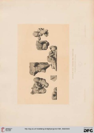 Tafel: Apollon und andere Bruchstücke