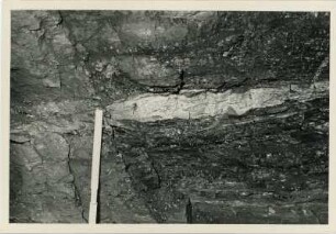 Dresden-Gittersee. Grubenfeld Gittersee. Aufhauen 3, bei circa 10 m. Verdickung der dritten Lette durch hellen Tonstein. Ausschnitt
