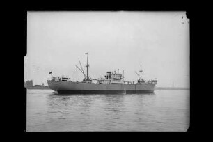 Elsbeth Wiards (1951), Wiards & Co