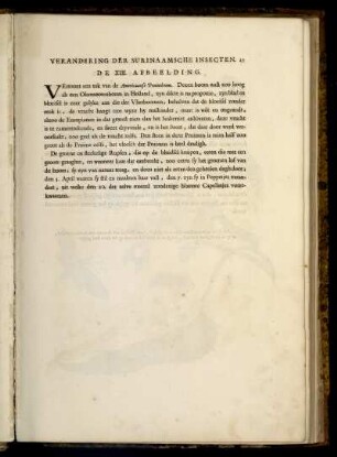 De XIII. Afbeelding