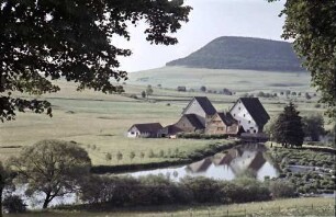 Geisingen: Mühle an der Donau, Vordergrund Äste