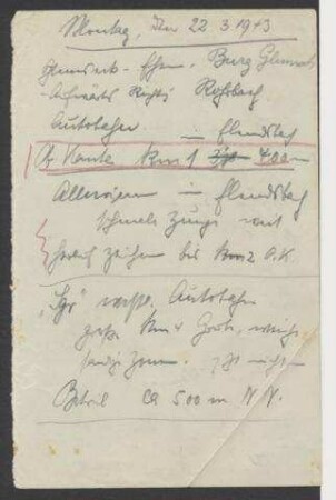 Handschriftliches Feldtagebuch