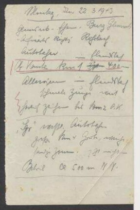 Handschriftliches Feldtagebuch