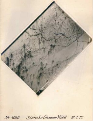 Foto des Geländes an der Südecke des Chaume-Waldes (Luftbild)