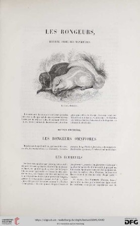 Les rongeurs, huitième ordre des mammifères