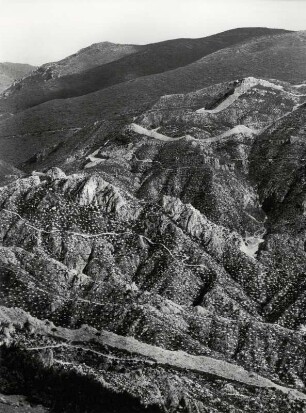 In der Sierra de Almijara bei Venta de Cabramentes, Andalusien