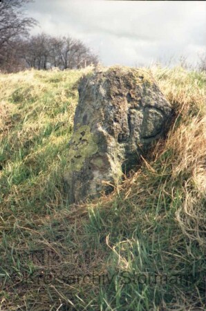 Heide (Kreis Dithmarschen): Hochfeld: Grenzstein