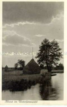 Abendstimmung im Unterspreewald