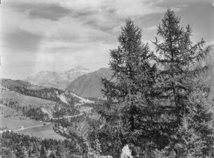 Auf dem Weg nach Bozen : Blick über ein Bergtal. Tannenbäume im Vordergrund