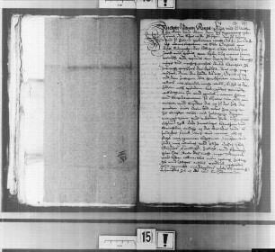 Testament von Dreyers, Else, genannt Halffwassen