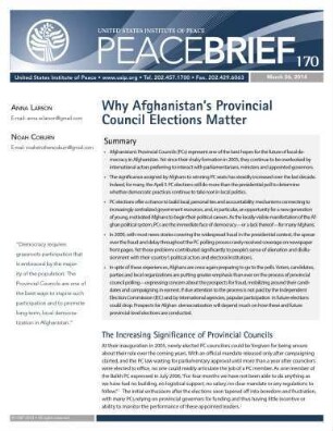Why Afghanistan’s provincial council elections matter