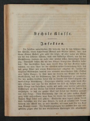 Sechste Klasse. Insekten.