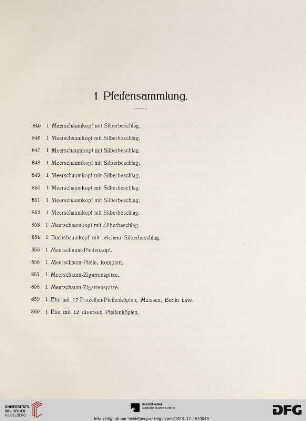 1 Pfeifensammlung (Nr. 845-860)