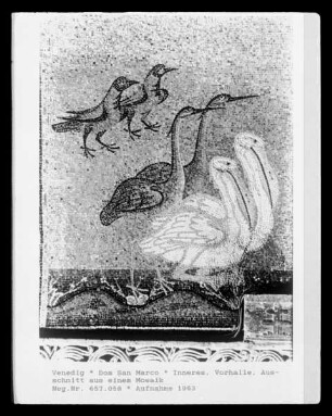 Pelikane und Kraniche