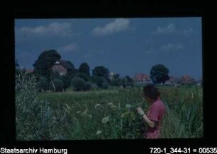 Vierlande, Aussendeichsland