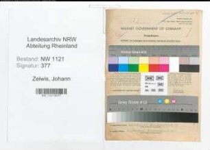Entnazifizierung Johann Zelwis , geb. 04.06.1909 (Verwaltungsangestellter)