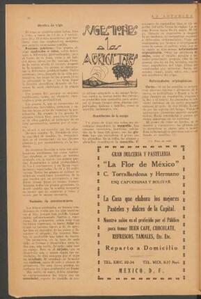 Cuidados de entretenimiento
