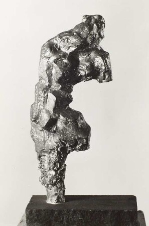 Männlicher Torso