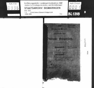 Vorsteher der Judenschaft zu Haigerloch, Aufstellung der Barnasse (Schultheiß)