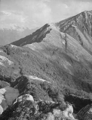 Am Washiha-dake : Landschaftsausschnitt