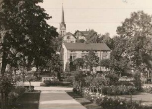 Bad Elster, Rosengarten : Im Hintergrund der Turm der evangelischen Kirche