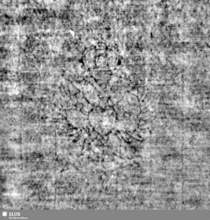 Wasserzeichen S.35_36