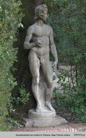 Bacchus