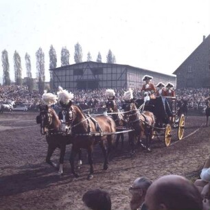 Dillenburg, Wilhelmstraße. Hessisches Landgestüt. Hengstparade. Vierspännige historische Kutsche