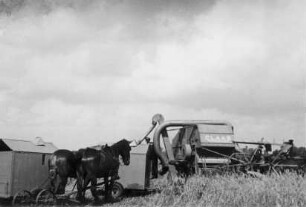 Mähdrescher mit Wechsel-Kornsammelwagen