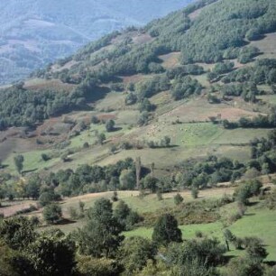 Mattenlandschaft am Vermion-Gebirge