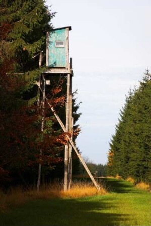 Belgien. Liege. Hohes Venn. Hochsitz in Herbstlandschaft