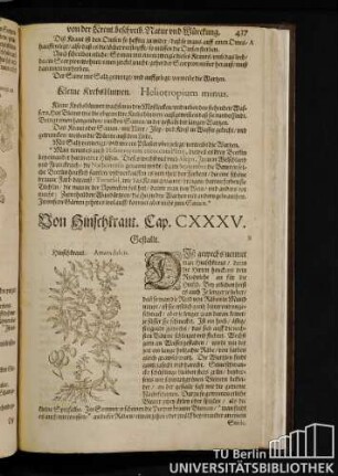 Cap. CXXXV. Von Hinschkraut.