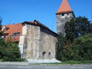 Stadtbefestigung - Torturm (Rinderbacher Tor) und anschließende Stadtmauer von Südosten über Feldseite