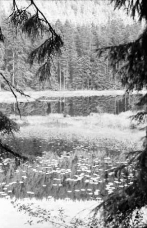 Huzenbach: Huzenbachsee