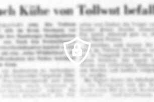 Auch Kühe von Tollwut befallen
