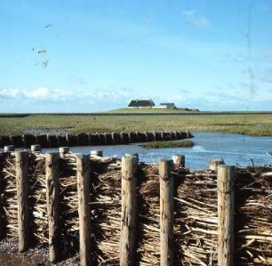 Hamburger Hallig : Hamburg. 'Staakentun' (Steckenzaun) als Landschuh im Weidevorland