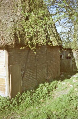 Düpenau: traufständige Fachwerkkate mit Reetdach: in Verfall: Giebelseite: hinten rechts Holzschuppen