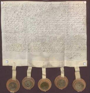 Instrumentum probationis des Grafen Philipp Karl von Oettingen-Baldern.