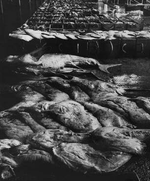 Archivfotografie "ausland_frankreich_verschiedene_7354"