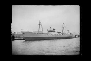 Congo (1955), Frachtschiff, Detjen & Co., Hamburg, Bau-Nr. 482