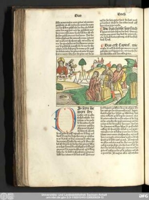 [Deuteronomium, Cap. I-XXXIIII]