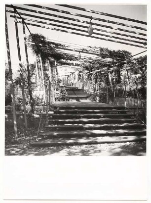 Bundesgartenschau 1957, Köln: Pergola
