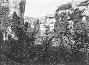 Am Amphitheater : Vegetation und Ruinen am Amphitheater