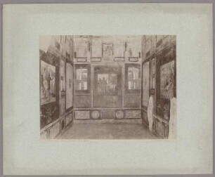 Pompei: Domus Vettiorum, Sala dipinta, No. 11197