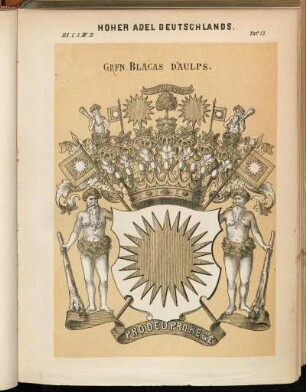 Taf. 13. Grfn. Blacas D'Aulps.