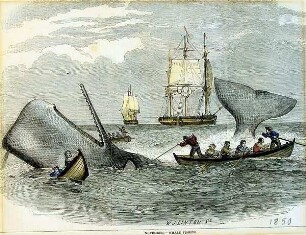 NOVEMBER - WHALE FISHING